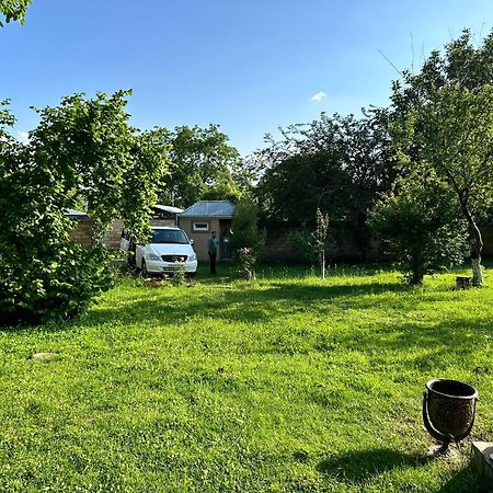 Villa In Qabala Kültér fotó